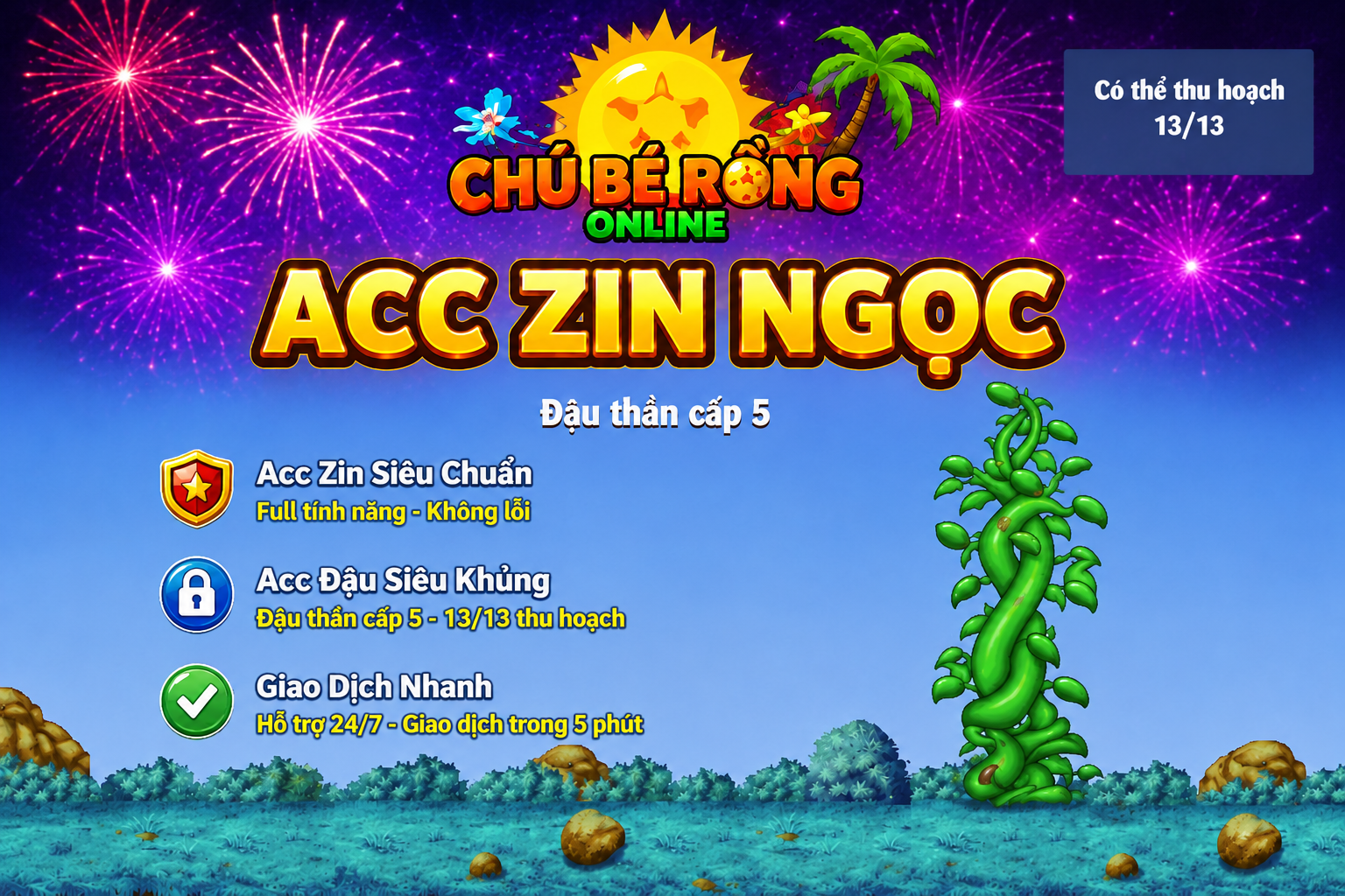 Acc Zin Ngọc